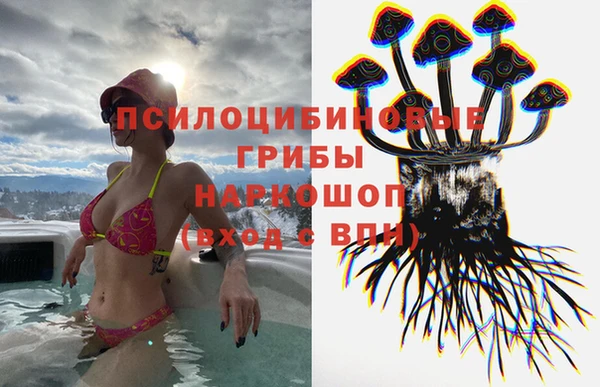 СК Билибино