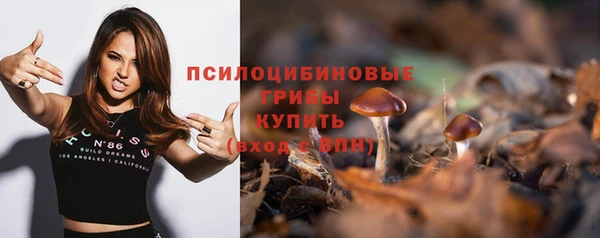 индика Навашино