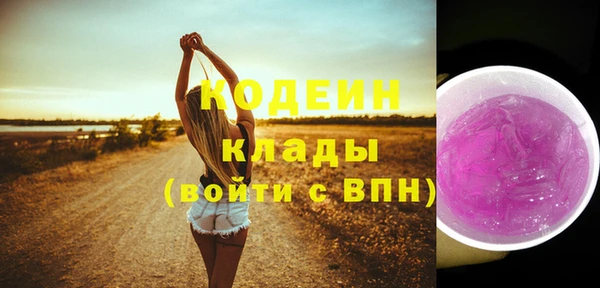 прущие грибы Бикин
