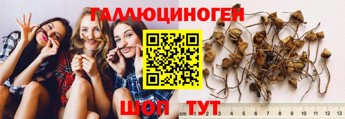 Псилоцибиновые грибы GOLDEN TEACHER  купить наркотик  Балашиха  Вход с VPN 
